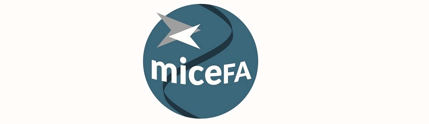 MICEFA : un partenariat de l’IPSA tourné vers l’Amérique !